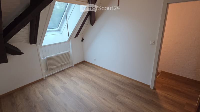 Empty attic room with wooden flooring, white walls, a skylight window, and a radiator. No furniture or personal items are present.
