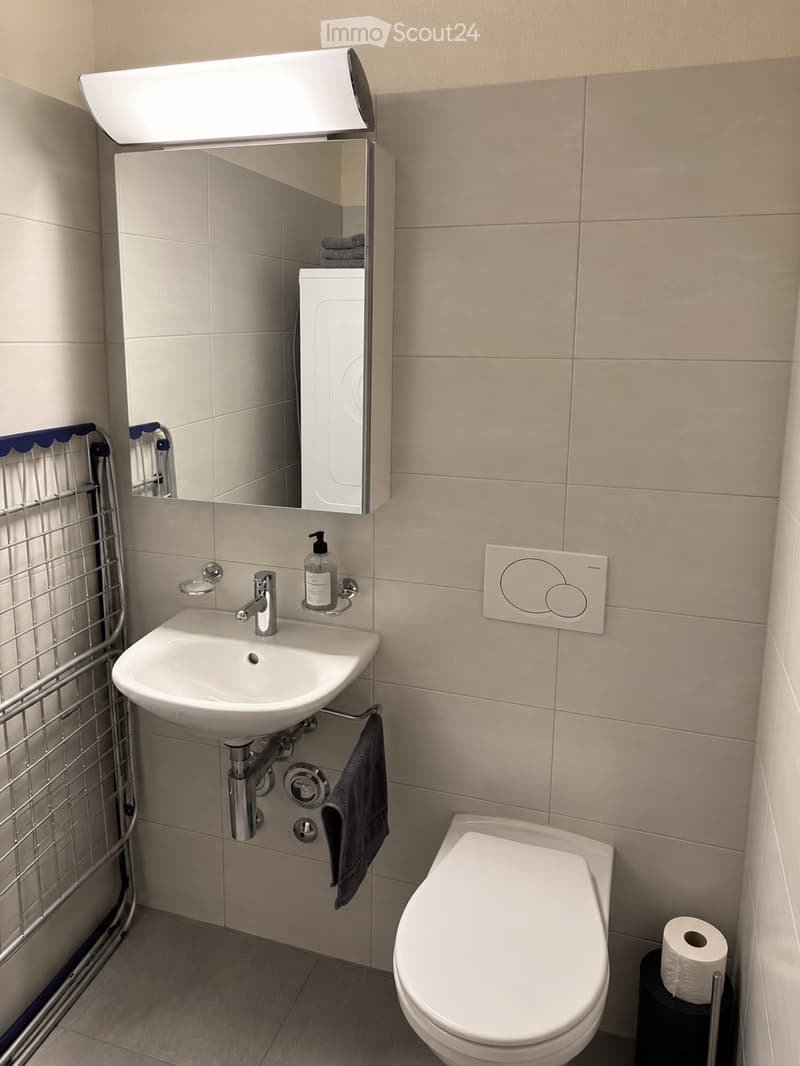 Modern bathroom with a white sink, chrome faucet, mirror cabinet, toilet, and towel. Includes a soap dispenser and a light fixture above the mirror.