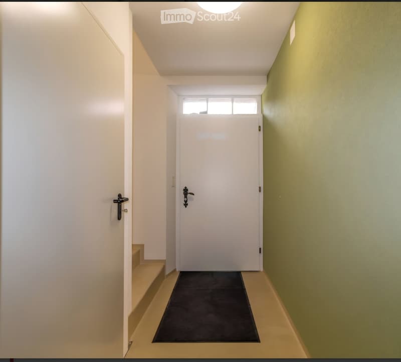A narrow hallway with light-colored walls, a black runner rug, and a white door at the end. The ceiling has a skylight window, and there is a small step leading up to the door.