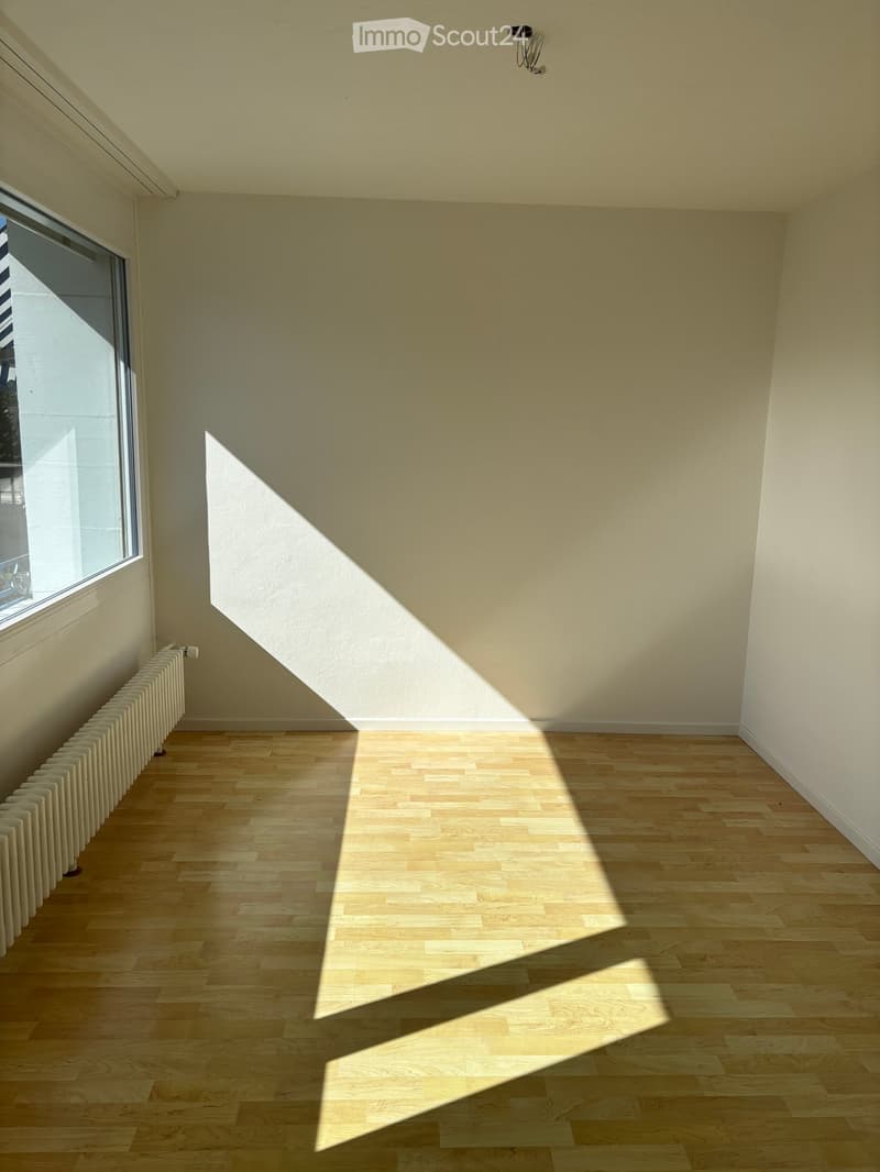white walls, white wooden flooring, window, radiator