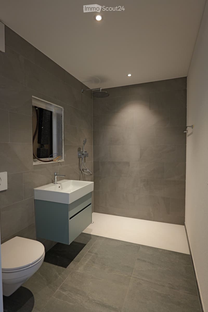 Modern bathroom with dark grey tiles, a white sink with a cabinet, a toilet, and a shower area with a glass enclosure.