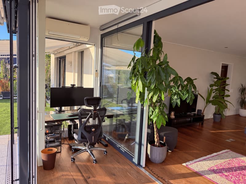 A modern, well-lit room with wooden flooring, large glass windows, and a comfortable office setup including a desk, chair, and computer. There are potted plants, a small table with a TV, and a trash can visible.