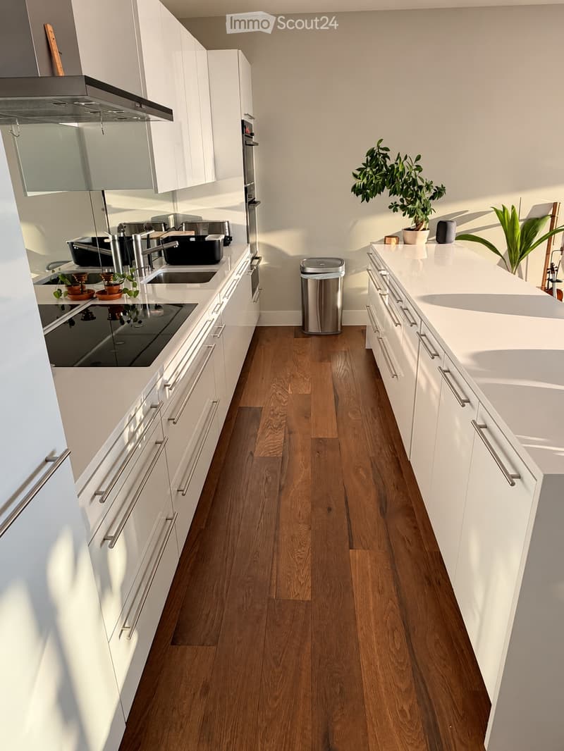 SOUS LOCATION appartement meublé à Lutry pour fin novembre (30)