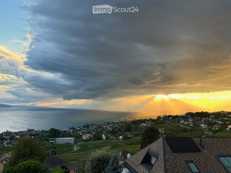 Panoramic view of a town with houses, vineyards, and a lake under a dramatic sky with sunset lighting.