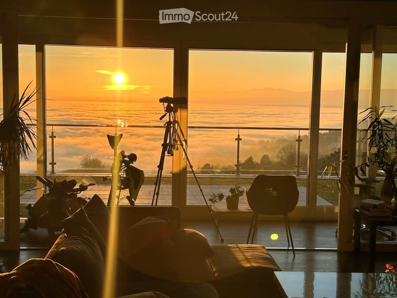 Bright living room with large windows offering a scenic view of the sunset and landscape, furnished with a sofa, coffee table, chair, small table, tripod, and plants.