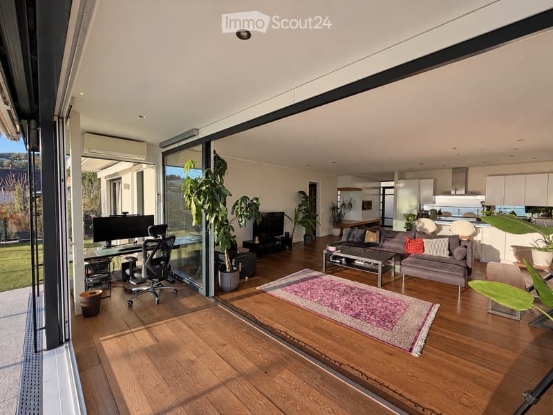 Modern living room with wooden flooring, large windows, sofa, coffee table, TV, and plants.