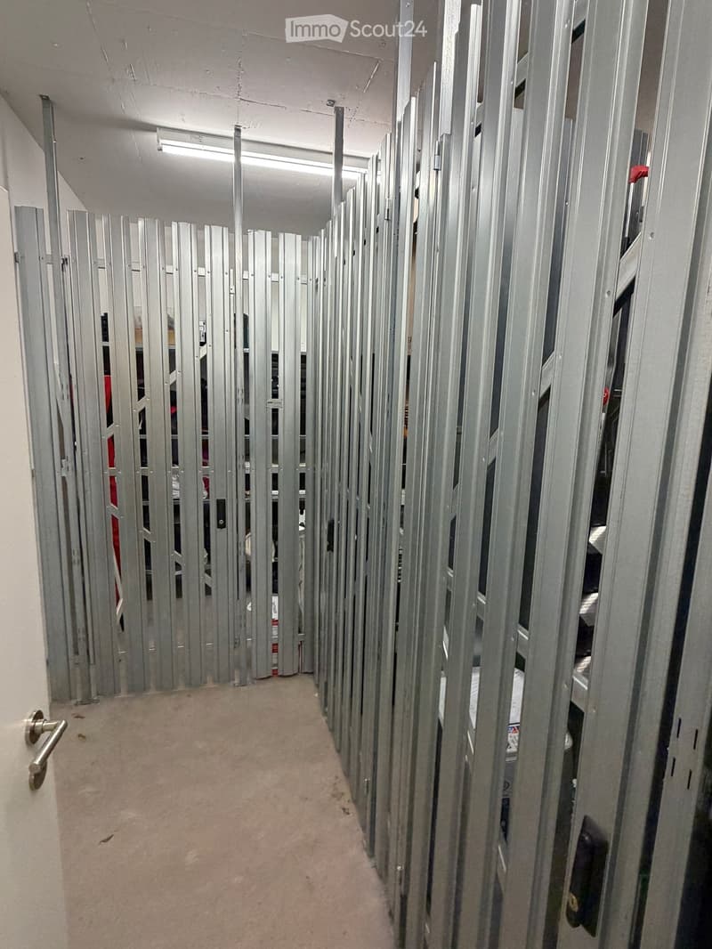 A narrow hallway with unfinished walls and metal framing, carpeted floor, and multiple doors on both sides.