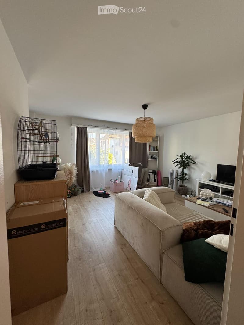 Living room with a beige sofa, wooden floor, large window with curtains, birdcage, bookshelf, and a television on a stand.