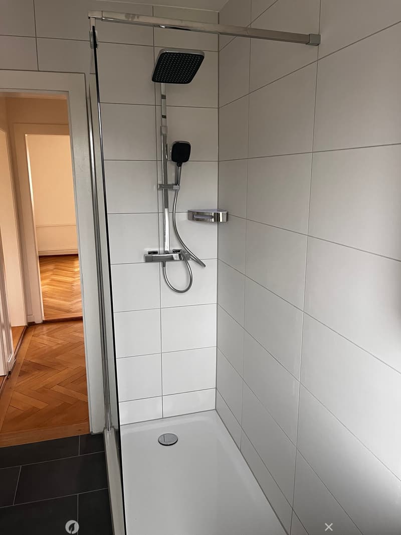 Modern shower area with white tiled walls, a glass shower enclosure, and a handheld showerhead with a rail and handheld sprayer.