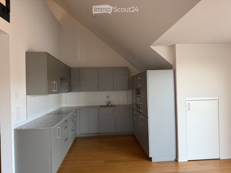 Modern kitchen with grey cabinets, a white refrigerator, and a granite countertop, featuring a wooden floor and sleek design.