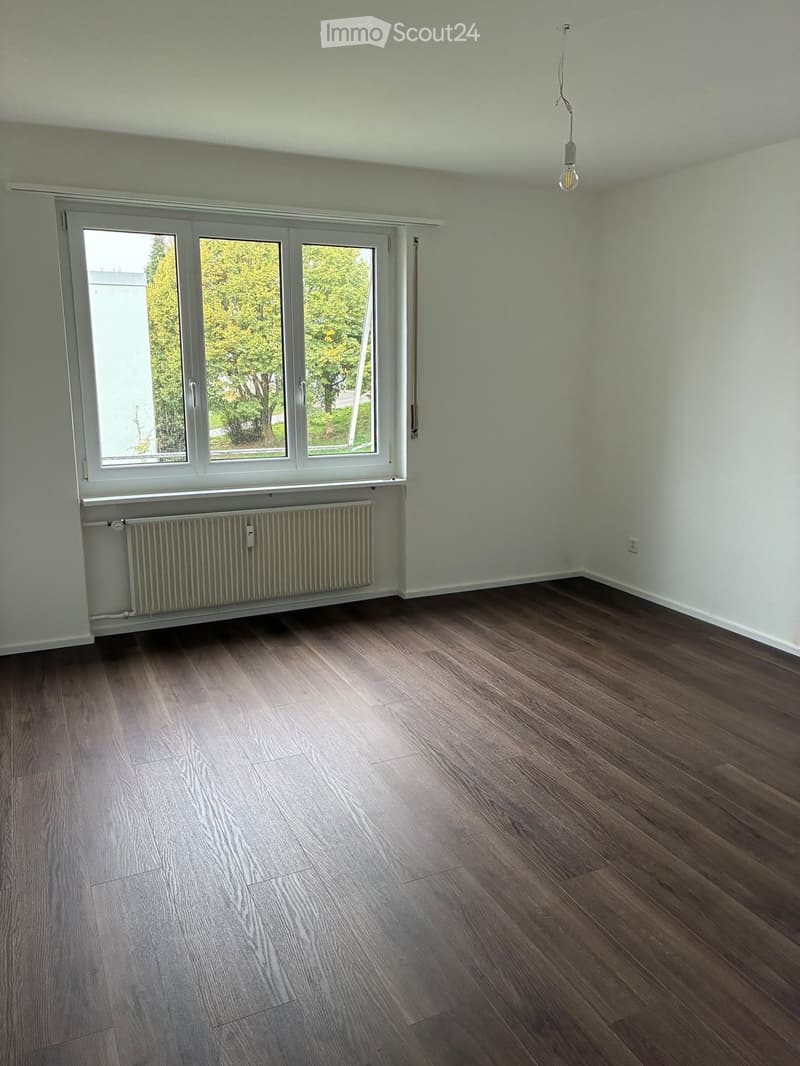 Empty room with wooden flooring, large windows, radiator, and a single light fixture on the ceiling.