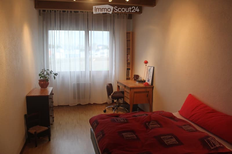 Cozy bedroom with a wooden bed covered in red bedding, a wooden desk with a chair, a small bookshelf, a potted plant on a nightstand, and a lamp on the desk.