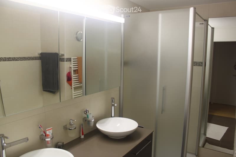 Modern bathroom with a large mirror, two sinks, a glass-enclosed shower, and neatly arranged toiletries.