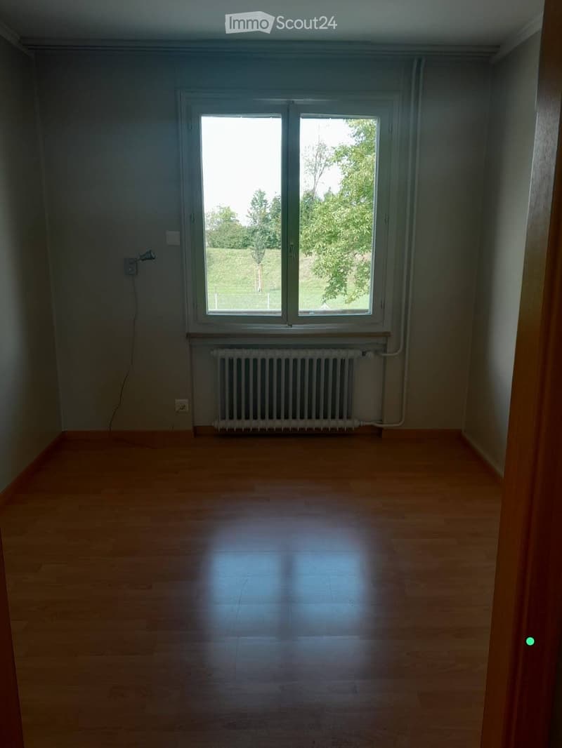 Empty room with wooden flooring, large window with double glass panels, radiator, and visible electrical outlets.