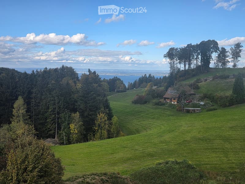 A panoramic view of a lush green landscape with rolling hills, dense forest, and a small house with a garage and a car parked nearby.