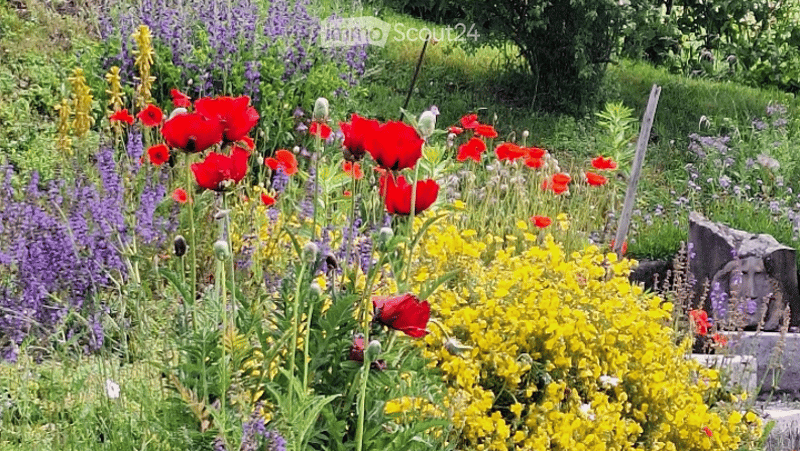 A vibrant garden filled with colorful flowers, including red poppies, yellow daisies, and purple lavender, surrounded by lush green foliage and a stone pathway.