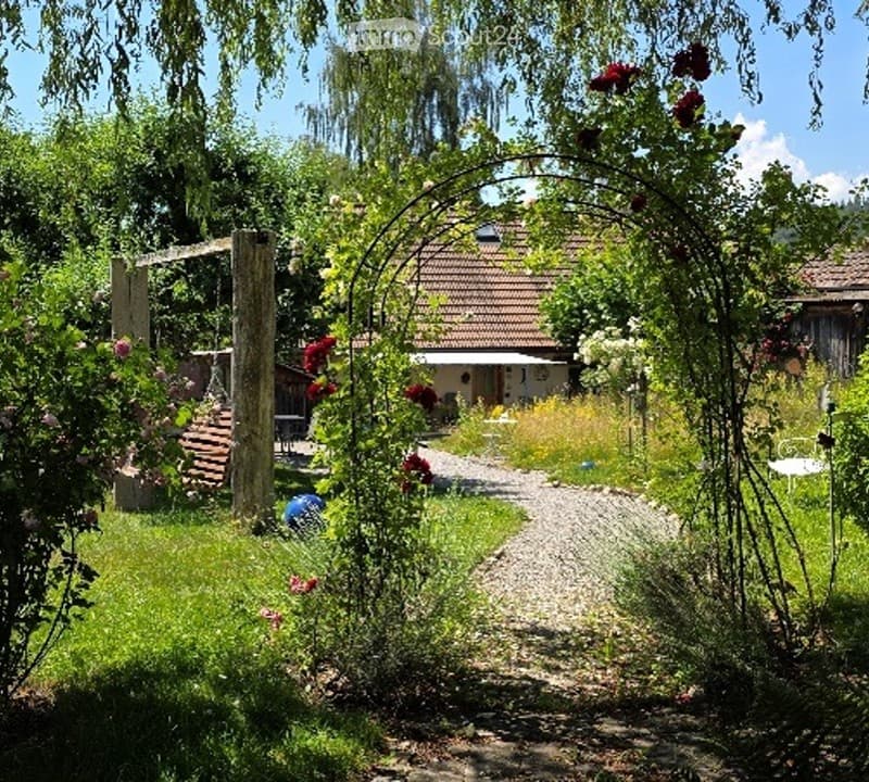 Garden with a gravel pathway, climbing roses, a swing, and a house in the background.