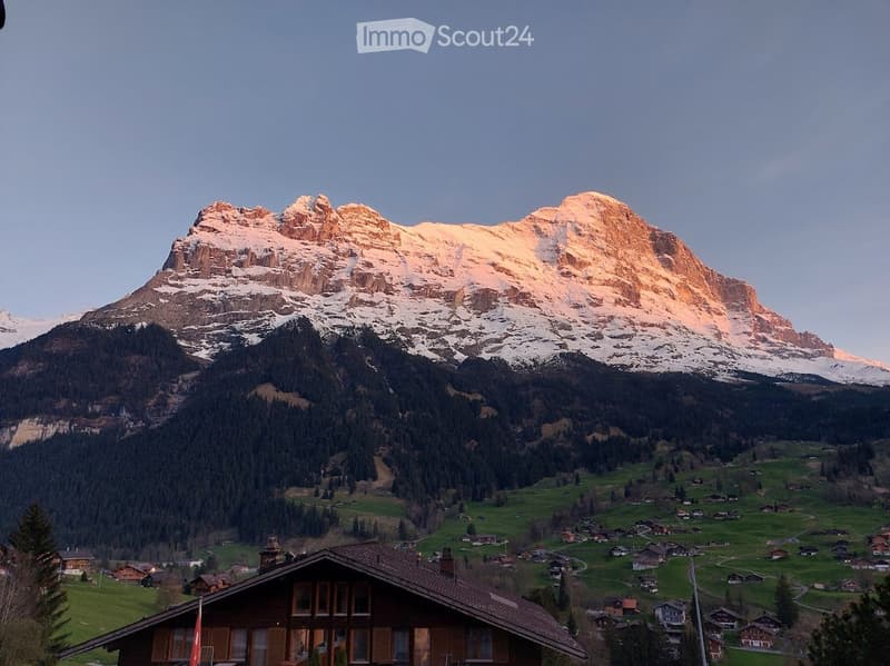 Traditional wooden house with a brown roof and large windows, situated in a lush green valley surrounded by snow-capped mountains.
