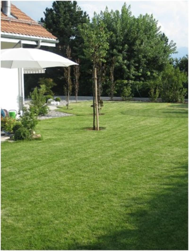 Well-maintained lawn with a small tree, shrubs, and a white umbrella near the house.