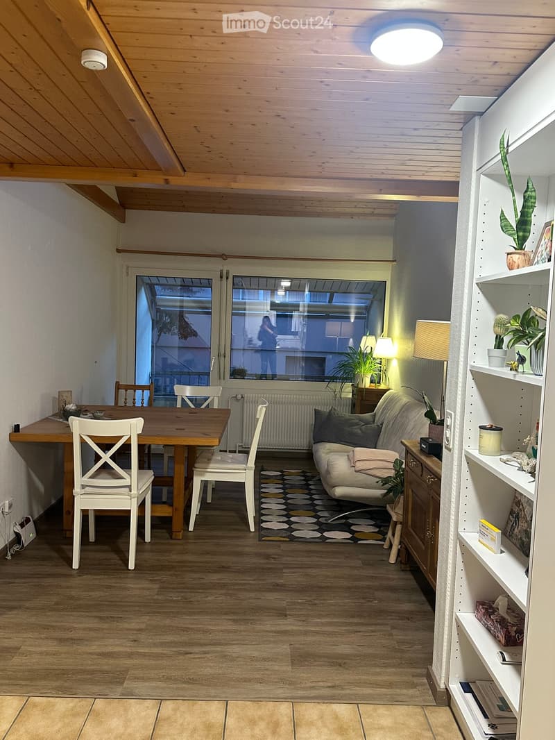 A cozy living room with wooden floors, a slanted wooden ceiling, a sofa, a dining table with chairs, a shelf with plants and decor, and a patterned rug.