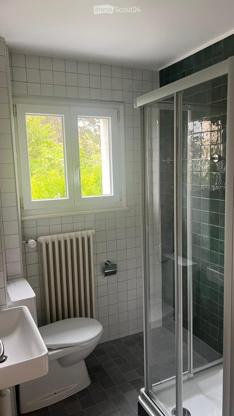 Modern bathroom with white tiled walls, dark tiled floor, a glass-enclosed shower, a toilet, a sink, and a radiator. A window offers natural light and a view of greenery.