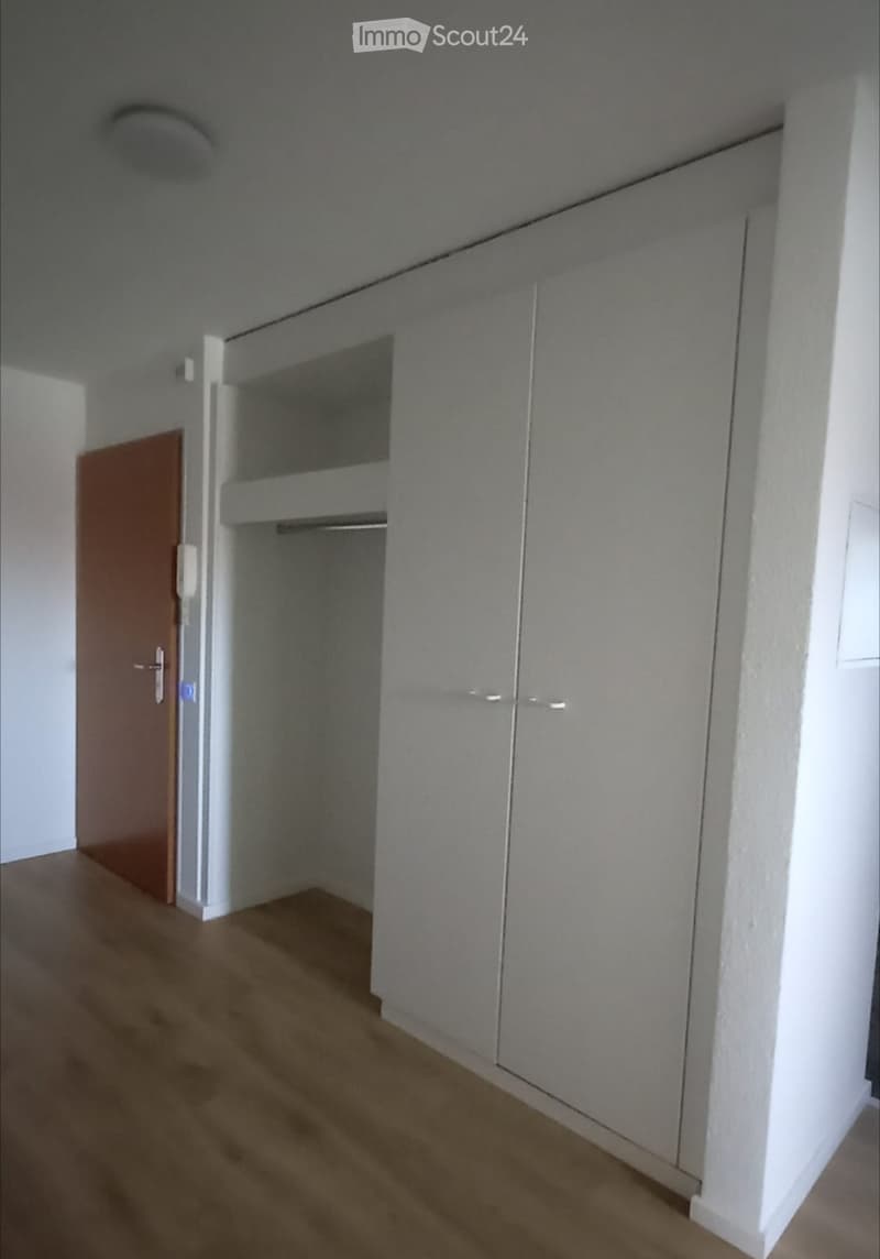 Empty room with light grey walls, wooden floor, and built-in closet with mirrored doors.