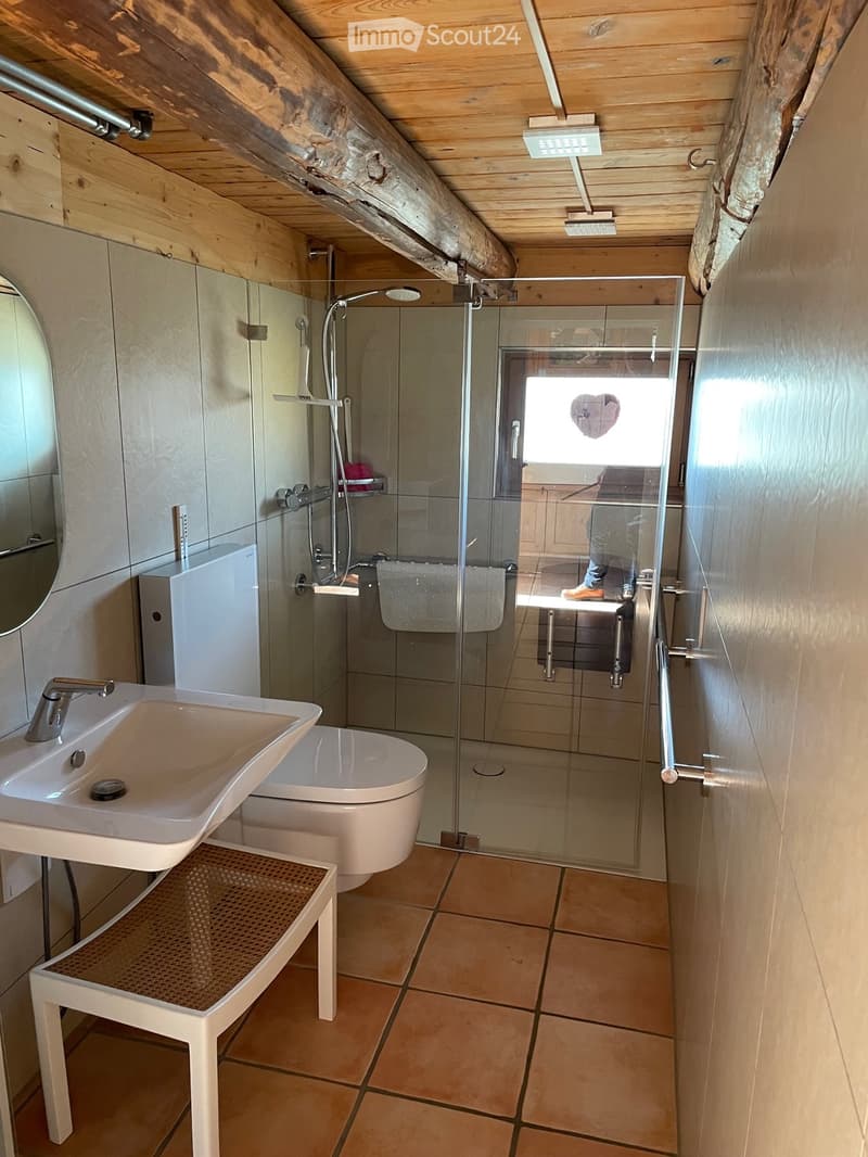 Modern bathroom with a white sink, toilet, mirror, and a glass-enclosed shower. The room features exposed wooden beams on the ceiling and tiled flooring.