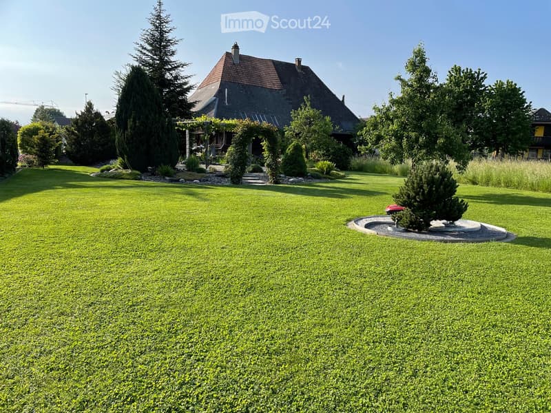 Well-maintained lawn with a circular garden bed, small tree, and a house with a dark roof in the background.