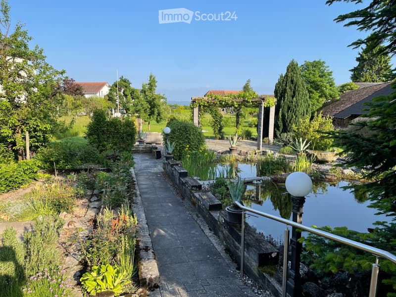 A well-maintained garden with a paved pathway, a small pond with aquatic plants, and surrounding greenery including shrubs, trees, and flowering plants.