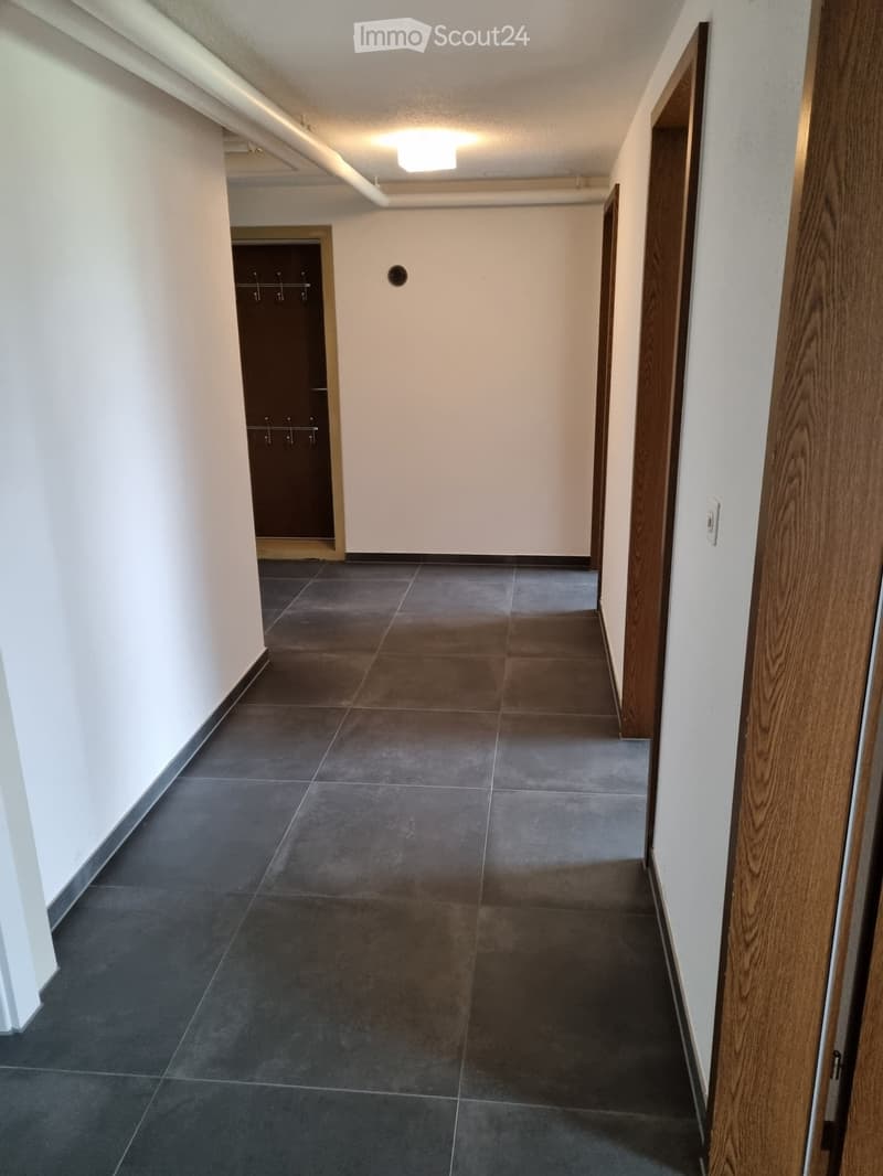 Clean, modern hallway with dark tiled flooring, white walls, and wooden door frames. Features a coat rack and a ceiling light fixture.
