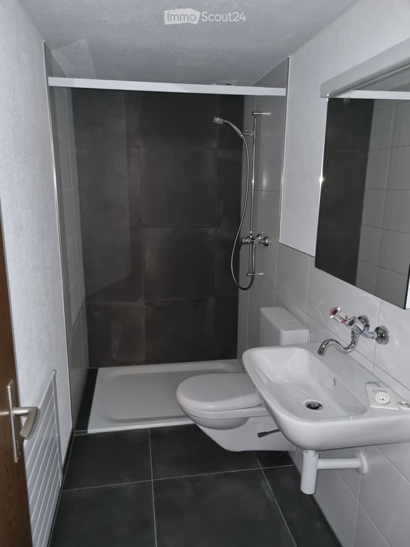 Modern bathroom with dark tiled walls and floor, white fixtures including a toilet, sink, and shower, and a mirror above the sink.