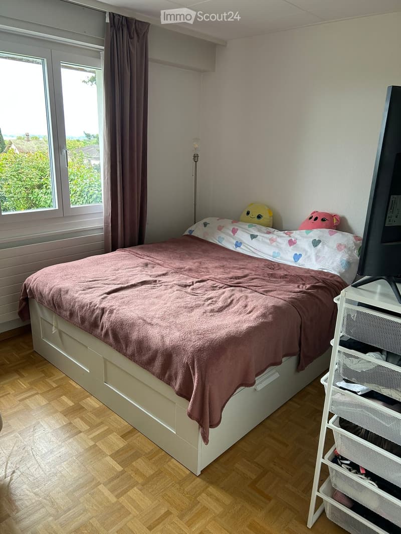 Cozy bedroom with a single bed, pink blanket, decorative pillows, a storage unit, and a floor lamp near a large window with a view of greenery.