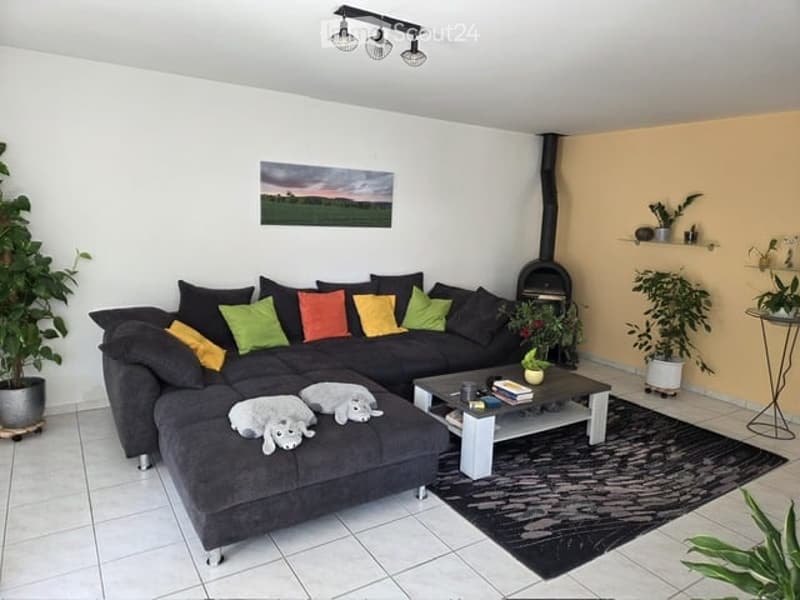 Modern living room with a grey sectional sofa, colorful throw pillows, a coffee table with books and a small plant, a fireplace, and several potted plants. The room features a black area rug and a large picture frame on the wall.