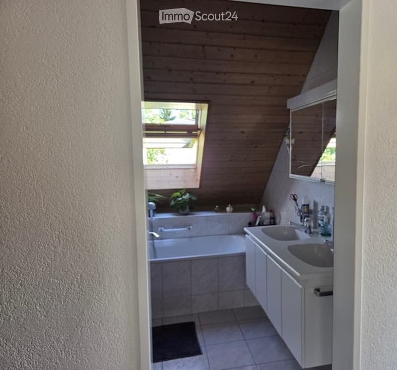 Bathroom with a bathtub, sink, mirror, and cabinet. Features a skylight window and a small plant on the windowsill.
