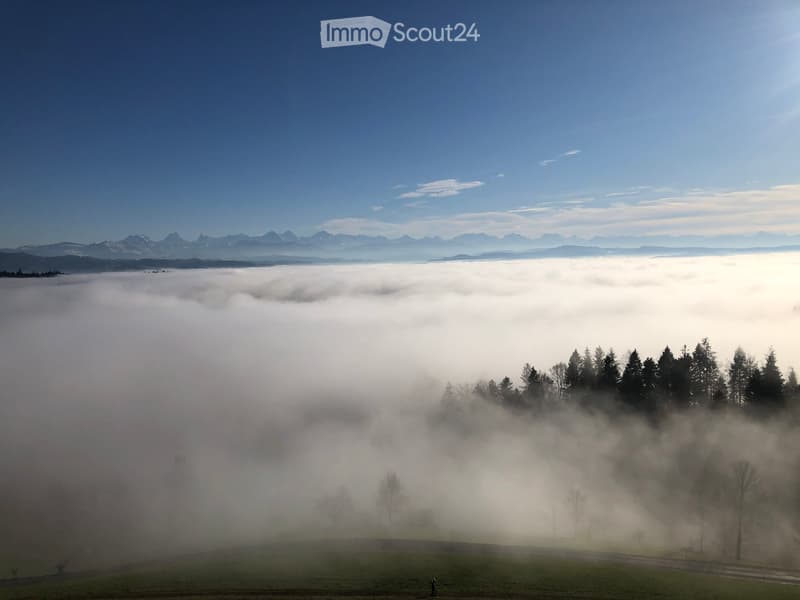 A serene landscape with a dense layer of fog covering the valley, distant mountains visible in the background, and a small cluster of trees in the foreground.