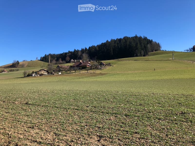A wide, open field with sparse vegetation, surrounded by rolling hills and scattered houses in the distance.