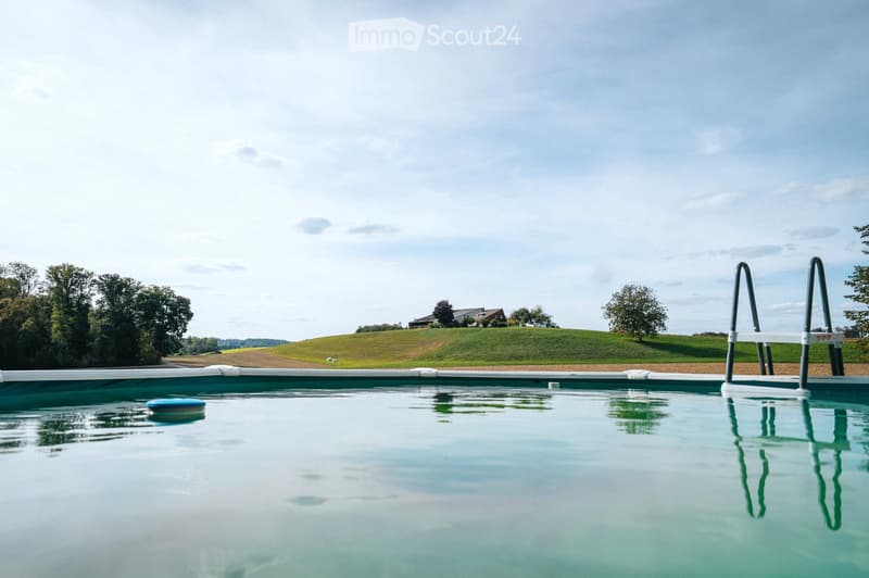A swimming pool with a ladder on the right side, surrounded by a grassy field and trees, with a house visible in the background.