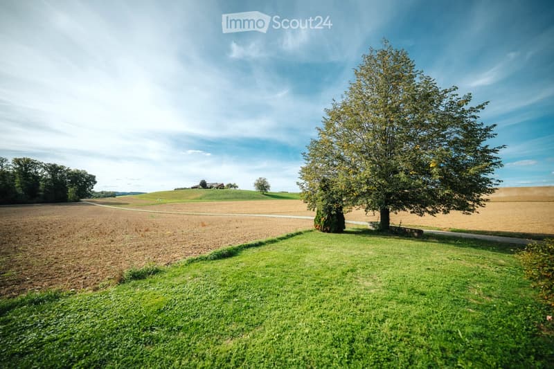 A peaceful rural landscape with a large tree, grassy field, and distant house on a hill under a clear blue sky.