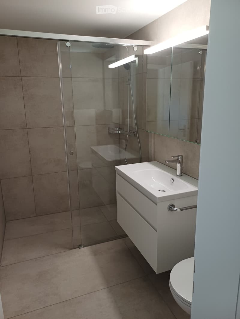 Modern bathroom with a white sink, chrome faucet, built-in cabinet, large mirror, and a glass-enclosed shower stall with a built-in seat.
