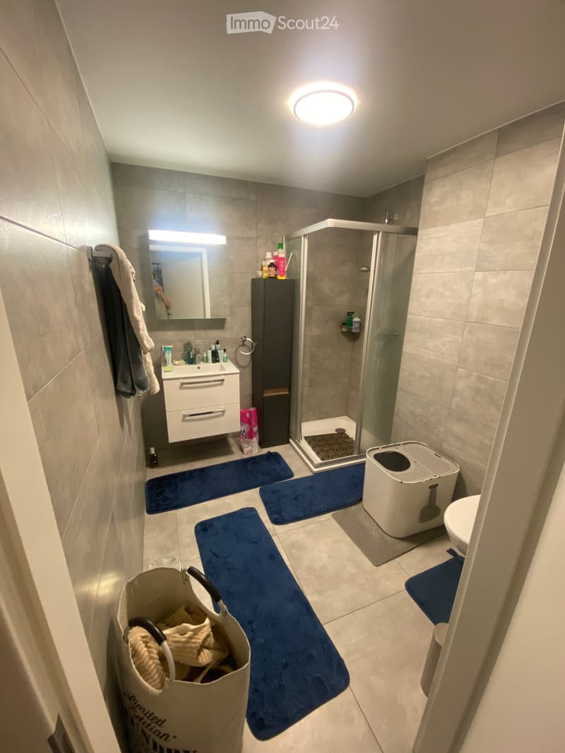 Modern bathroom with a white sink, mirror, shower, toilet, and cat litter box. Blue rugs are placed on the floor, and a handbag is visible near the entrance.