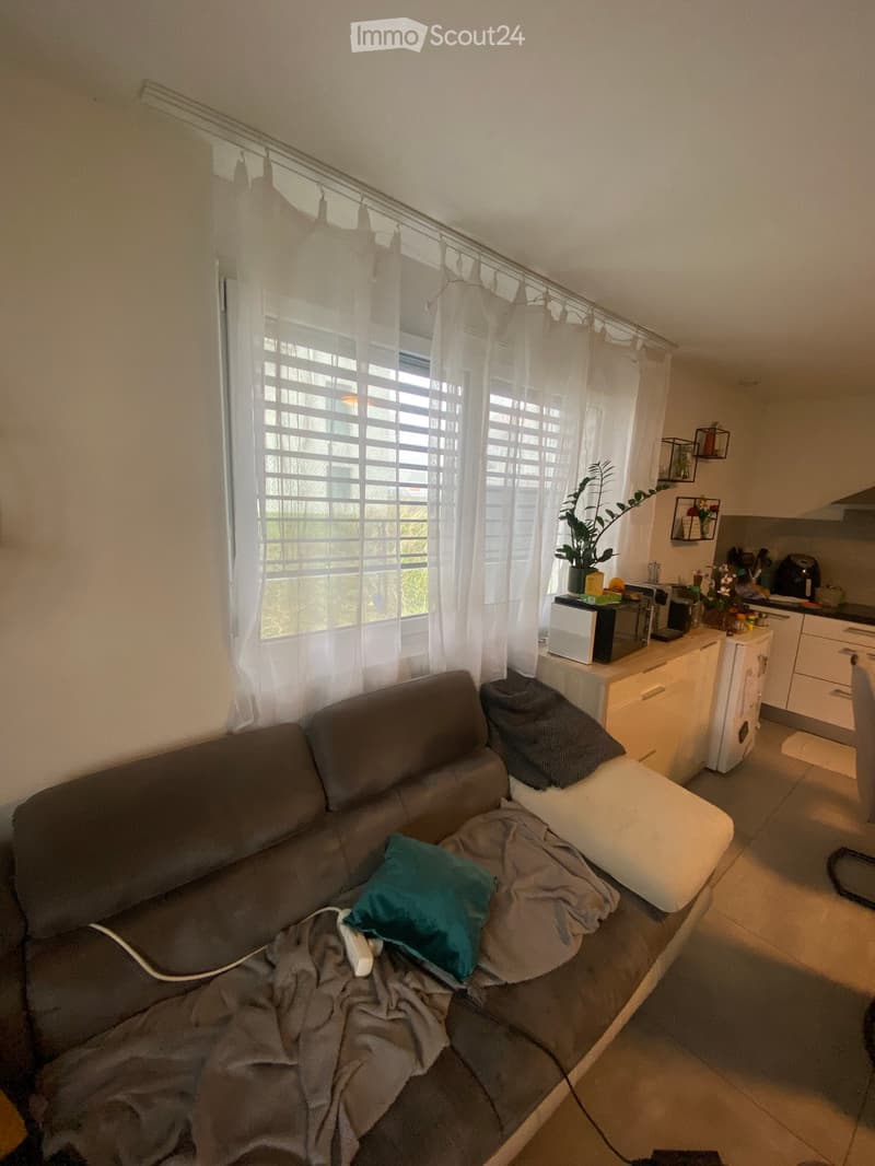 A cozy living room with a grey sofa, pillows, and a blanket, adjacent to a small kitchen area with a microwave, refrigerator, and dishwasher. A plant is placed on a shelf near the window.