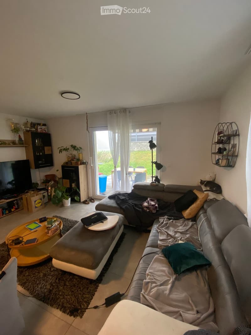Living room with a grey sectional sofa, coffee table, laptop, cat, and a view to a patio area with outdoor furniture.