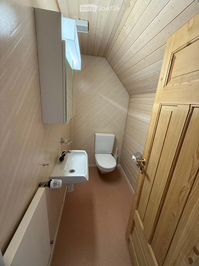 wooden floor, toilet, sink, mirror, wall-mounted cabinet