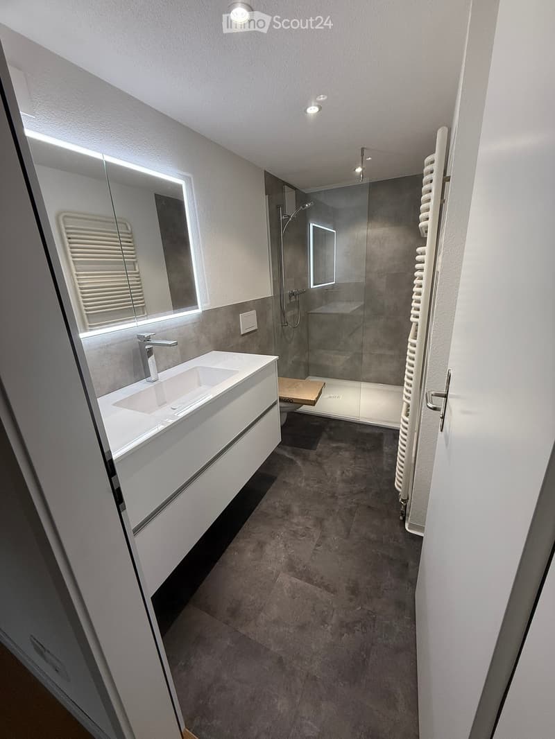 Modern bathroom with a white sink, chrome faucet, large mirror, glass-enclosed shower, and towel rack.