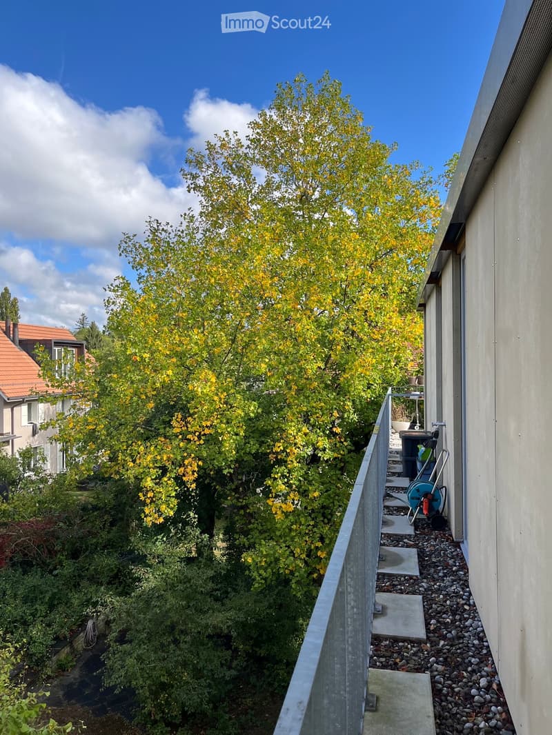Balcony overlooking a garden area with a large tree, concrete steps, and a hose reel.