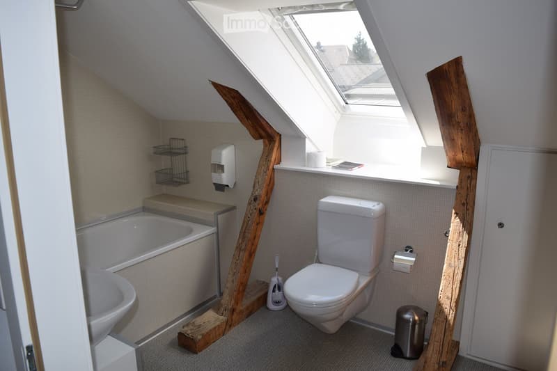 Cozy attic bathroom with a skylight window, featuring a bathtub, toilet, sink, shelves, and a hand sanitizer dispenser.