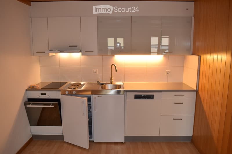 Modern kitchen with white cabinets, stainless steel appliances, and a wooden floor.