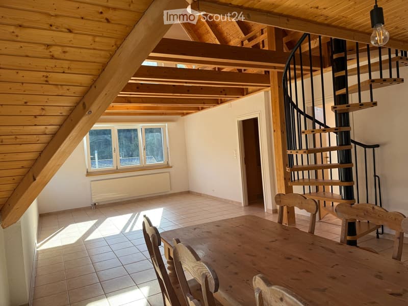 Grosszügige 4.5-Zimmer-Wohnung mit Galerie und 30 m² Terrasse (1)