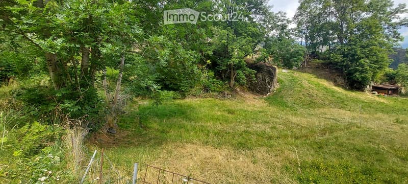 A lush, green garden area with tall trees, grass, and a small wooden shed in the background.