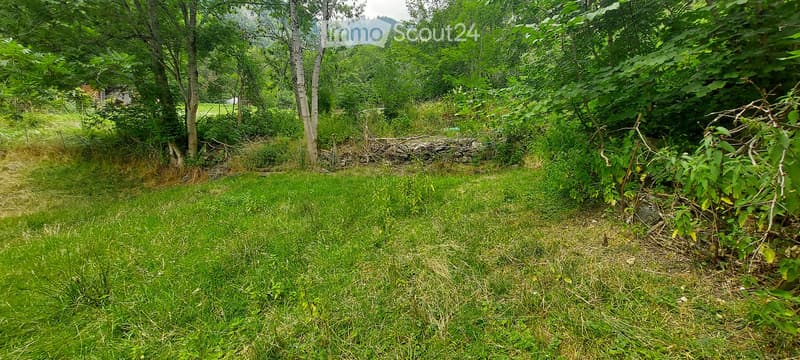 A lush, green garden area with tall grass, trees, and shrubs. The ground is uneven with patches of grass and bare soil, and a small stone wall is visible in the background.